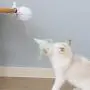 DSstyles Pet Feather Toy,USB Electronic Ball Cat Toy Electric Funny Cat Stick with Clamp DSstyles Pet Feather Toy,USB Electronic Ball Cat Toy Electric Funny Cat Stick with Clamp
