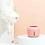 Cat and Dog Water Fountain, Super Quiet Cat Water Dispenser with Filter, USB Charging Automatic Drinking Dispenser for Pets (2.5L),Pink
