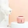 Cat and Dog Water Fountain, Super Quiet Cat Water Dispenser with Filter, USB Charging Automatic Drinking Dispenser for Pets (2.5L),Pink Cat and Dog Water Fountain, Super Quiet Cat Water Dispenser with Filter, USB Charging Automatic Drinking Dispenser for Pets (2.5L),Pink