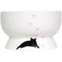 Leo Cat Bowls, Elevated Cat Bowls, Raised Cat Food Water Bowl, Anti Vomiting, No Spill Pet Water Bowl for Cats or Dogs, 11.82oz, Cat Bowls Ceramic, Raised Pet Bowl, Easy to Clean, Dishwasher Safe