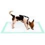 Thxpet Puppy Pads Super Absorbent Leak-Proof 100 Count Dog Pee Training Pads 22 x 23 inch Thxpet Puppy Pads Super Absorbent Leak-Proof 100 Count Dog Pee Training Pads 22 x 23 inch