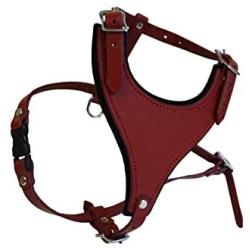 Leather Dog Harness, Felt Padded, Small, Red, Argentinean Leather (Malibu) For Small breeds. Neck sizes: 7''-14''.Chest sizes: 17''-21''