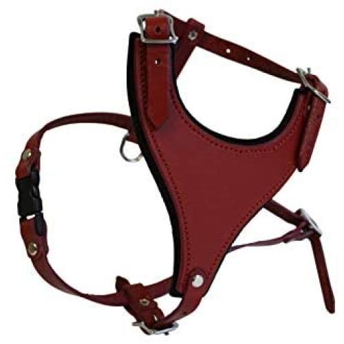 Leather Dog Harness, Felt Padded, Small, Red, Argentinean Leather (Malibu) For Small breeds. Neck sizes: 7''-14''.Chest sizes: 17''-21''