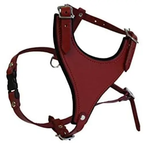 Leather Dog Harness, Felt Padded, Small, Red, Argentinean Leather (Malibu) For Small breeds. Neck sizes: 7''-14''.Chest sizes: 17''-21''