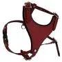 Leather Dog Harness, Felt Padded, Small, Red, Argentinean Leather (Malibu) For Small breeds. Neck sizes: 7''-14''.Chest sizes: 17''-21''
