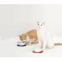 HARIO Cat Food Bowl For Short Haired Cats (Red)