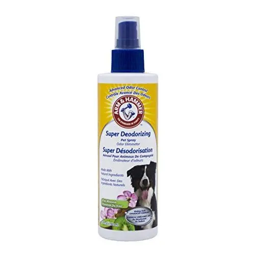 Arm & Hammer For Pets Super Deodorizing Spray for Dogs | Best Odor Eliminating Spray for All Dogs & Puppies | Fresh Kiwi Blossom Scent That Smells Great, 6.7 Ounces (FF9367) Arm & Hammer For Pets Super Deodorizing Spray for Dogs | Best Odor Eliminating Spray for All Dogs & Puppies | Fresh Kiwi Blossom Scent That Smells Great, 6.7 Ounces (FF9367)