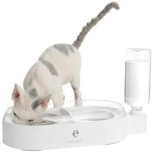 Double Dog Cat Bowls, Gravity Food and Water Bowl, Pet Automatic Drinking Dispenser Detachable Transparent Glass Feeder Bowls No-Spill Raised Bowl for Small Dogs and Cats Double Dog Cat Bowls, Gravity Food and Water Bowl, Pet Automatic Drinking Dispenser Detachable Transparent Glass Feeder Bowls No-Spill Raised Bowl for Small Dogs and Cats