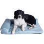 Armarkat Model D08A Medium Bolstered Pet Bed Cushion with Poly Fill Cushion, Soothing Blue