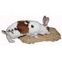 FAMILY FARM AND FEED | Natural Fresh Wood | Select Pet Animal Bedding | Young and Adult