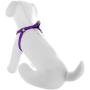 Pawtitas Pet Adjustable Solid Color Step in Puppy/Dog Harness 6 feet Matching Collar and Harness Sold Separately