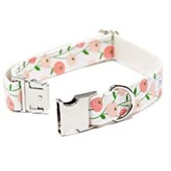 Bubblepup Dog Collar and Leash Set, Dog Collar with Leash Set Adjustable Dog Collar and Leash for Small Medium Large Dogs