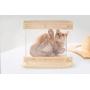 MYZOO Moku,Cloud Shape, Wall Mounted Cat Shelves, Floating Perch, Cat Tree,Solid Wood with Transparent Board