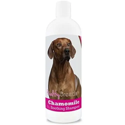 Healthy Breeds Chamomile Dog Shampoo & Conditioner with Oatmeal & Aloe for Rhodesian Ridgeback - OVER 200 BREEDS - 8 oz - Gentle for Dry Itchy Skin - Safe with Flea and Tick Topicals Healthy Breeds Chamomile Dog Shampoo & Conditioner with Oatmeal & Aloe for Rhodesian Ridgeback - OVER 200 BREEDS - 8 oz - Gentle for Dry Itchy Skin - Safe with Flea and Tick Topicals