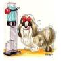 Caraval Pet Water Stand, 16 oz, Bottle and Bungie included! Dogs cats up to 12lbs