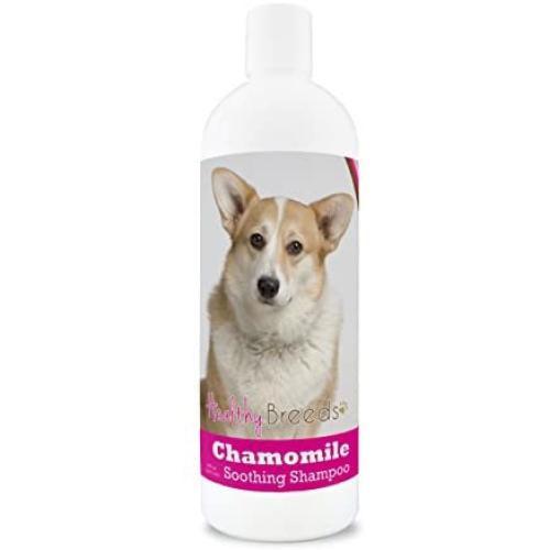 Healthy Breeds Chamomile Dog Shampoo & Conditioner with Oatmeal & Aloe for Cardigan Welsh Corgi - OVER 200 BREEDS - 8 oz - Gentle for Dry Itchy Skin - Safe with Flea and Tick Topicals