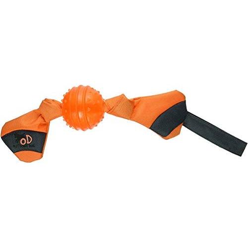 All for Paws Outdoor Dog Ballistic TPR Tug and Toss Dog Toy