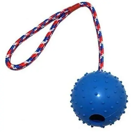 ljfjf Pet Molar Rod, Rubber Ball, Molar, Bite Resistant, Drawstring, Solid Bouncy Ball, Pet Toy 7cm (Color : -) ljfjf Pet Molar Rod, Rubber Ball, Molar, Bite Resistant, Drawstring, Solid Bouncy Ball, Pet Toy 7cm (Color : -)