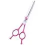 Purple Dragon 6.5'' Professional Pet Grooming Scissors - Dog Thinning Shears - Adult Animal Blending Hair Trimmer for Pet Groomer or Family DIY (Rose) Purple Dragon 6.5'' Professional Pet Grooming Scissors - Dog Thinning Shears - Adult Animal Blending Hair Trimmer for Pet Groomer or Family DIY (Rose)