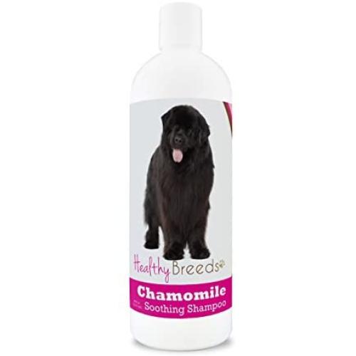 Healthy Breeds Chamomile Dog Shampoo & Conditioner with Oatmeal & Aloe for Newfoundland - OVER 200 BREEDS - 8 oz - Gentle for Dry Itchy Skin - Safe with Flea and Tick Topicals