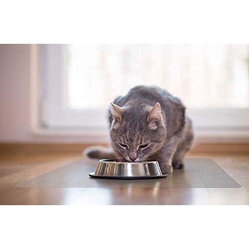 P-Tex Anti-Microbial Pet Mat 19'' x 24'' Multi Pack of 2 for Floor and Surface Protection