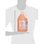 Bobbi Panter Gorgeous Dog Shampoo, Beige, 1 Gal