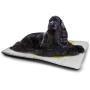 DayDayFun Yellow and Blue Pet Mat Bed Windy Sandy Beach with Sunshade and Trolley Summer Holiday Relax Picture Easy-to-Clean Pet Mat Multicolor