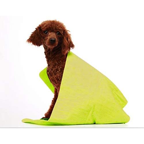 LA Dog Towel Super Absorbent Pet Bath Towel, Bucket Carrying Design for Small, Medium, Large Dogs and Cats, Bear Printed Suede Absorbent Towel, Designed for Indoor and Outdoor Use