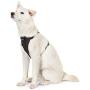 Amazon Basics Dog Harness Leash