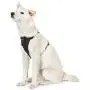 Amazon Basics Dog Harness Leash Amazon Basics Dog Harness Leash