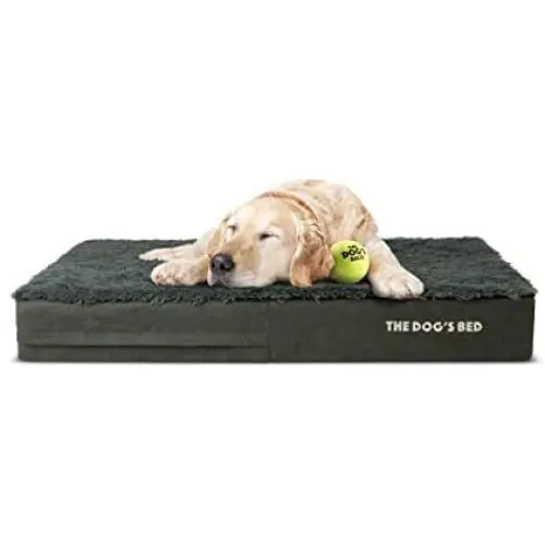 The Dog’s Bed Orthopedic Dog Bed, Premium Memory Foam S-XXXL, Waterproof, Dog Pain Relief for Arthritis, Hip & Elbow Dysplasia, Post Surgery, Lameness, Senior Supportive, Calming Bed, Washable Cover The Dog’s Bed Orthopedic Dog Bed, Premium Memory Foam S-XXXL, Waterproof, Dog Pain Relief for Arthritis, Hip & Elbow Dysplasia, Post Surgery, Lameness, Senior Supportive, Calming Bed, Washable Cover