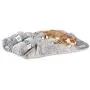 PetFusion Premium Plus Quilted Pet Blanket Blanket, Multiple Sizes for Dogs & Cats. PetFusion Premium Plus Quilted Pet Blanket Blanket, Multiple Sizes for Dogs & Cats.