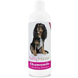 Healthy Breeds Chamomile Dog Shampoo & Conditioner with Oatmeal & Aloe for Cavalier King Charles Spaniel - OVER 200 BREEDS - 8 oz - Gentle for Dry Itchy Skin - Safe with Flea and Tick Topicals