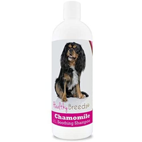 Healthy Breeds Chamomile Dog Shampoo & Conditioner with Oatmeal & Aloe for Cavalier King Charles Spaniel - OVER 200 BREEDS - 8 oz - Gentle for Dry Itchy Skin - Safe with Flea and Tick Topicals
