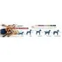 Coastal Pets Inspire Harness 5/8'' x 20''-30'' Inspire Red Coastal Pets Inspire Harness 5/8'' x 20''-30'' Inspire Red
