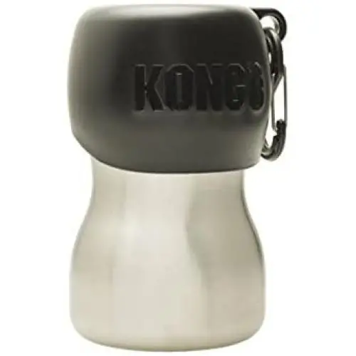 KONG H2O Stainless Steel Water Bottle, 0.28 L, S