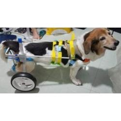 New! Two Wheels Adjustable Dog Wheelchair, cart, 7 Sizes for hind Legs Rehabilitation, 3D Soft Harness,Light Weight, Easy Assemble, Belly Band Specially for Spondylitis