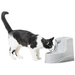 PetSafe Drinkwell Mini Pet Fountain for Cats and Small Dogs, 40 oz Capacity Water Dispenser with Filter Included, PWW00-14402