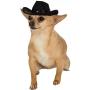 WODISON Cool Pet Dog Cat Cowboy Costume Hat and Bandana Scarf Set of 2