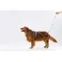 Yukowgu Waterproof Dog Harness, Washable Adjustable Outdoor Pet Vest for Dogs Yukowgu Waterproof Dog Harness, Washable Adjustable Outdoor Pet Vest for Dogs