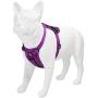 Voyager Freestyle 4-in-1 Dog Harness - Patent Pending Adjustable Webbing Harness with Removable Padding for Small to Large Dogs by Best Pet Supplies (Black, X-Small)