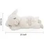 ALL FOR PAWS AFP Sheep Pet Behavioral Aid Toy Plush Toy ALL FOR PAWS AFP Sheep Pet Behavioral Aid Toy Plush Toy