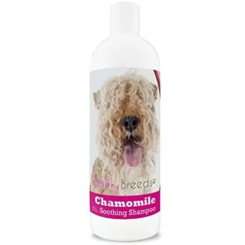 Healthy Breeds Chamomile Dog Shampoo & Conditioner with Oatmeal & Aloe for Lakeland Terrier - OVER 200 BREEDS - 8 oz - Gentle for Dry Itchy Skin - Safe with Flea and Tick Topicals Healthy Breeds Chamomile Dog Shampoo & Conditioner with Oatmeal & Aloe for Lakeland Terrier - OVER 200 BREEDS - 8 oz - Gentle for Dry Itchy Skin - Safe with Flea and Tick Topicals