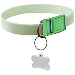 Davis FurEver Brite Glow in The Dark Pet Safety Collar, Small to Medium, Green