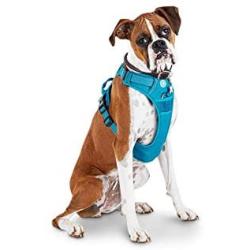 Good2Go Blue Front Walking Dog Harness, Large