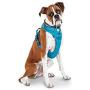Good2Go Blue Front Walking Dog Harness, Large
