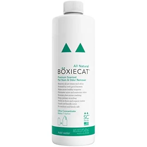 Boxiecat Premium Scented Stain & Odor Remover,Ultra Concentrate Boxiecat Premium Scented Stain & Odor Remover,Ultra Concentrate