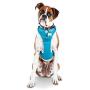 Good2Go Blue Front Walking Dog Harness, Large