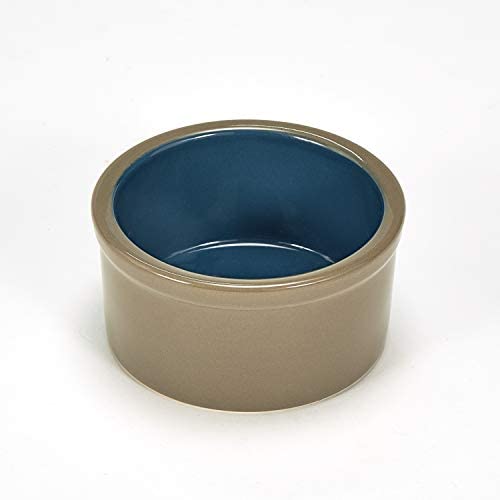 Kaytee Stoneware Cavy Bowl, 4-Inch