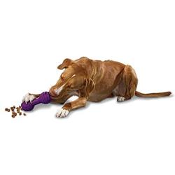 PetSafe Busy Buddy Chuckle Dog Toy